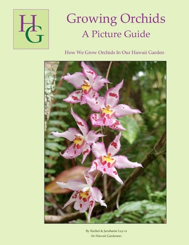 Growing Orchids - A Picture Guide How We Grow Orchids In Our Hawaii Garden