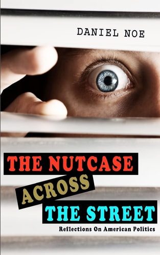 The Nutcase Across The Street Reflections On American Politics