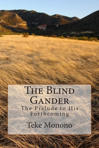 The Blind Gander The Prelude To His Forthcoming