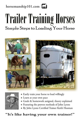 Trailer Training Horses Simple Steps to Loading Your Horse