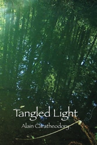 Tangled Light At Play in the Forest of Night