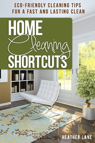 Home Cleaning Shortcuts Eco-Friendly Cleaning Tips for a Fast and Lasting Clean