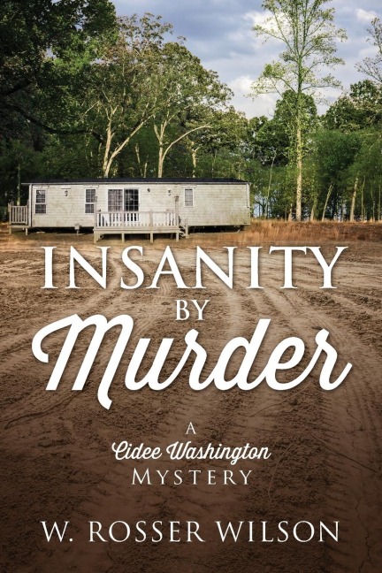 Insanity By Murder: A Cidee Washington Mystery