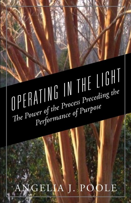 OPERATING IN THE LIGHT: The Power of the Process Preceding the Performance of Purpose