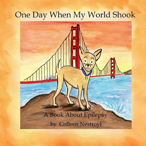 One Day When My World Shook A Book About Epilepsy
