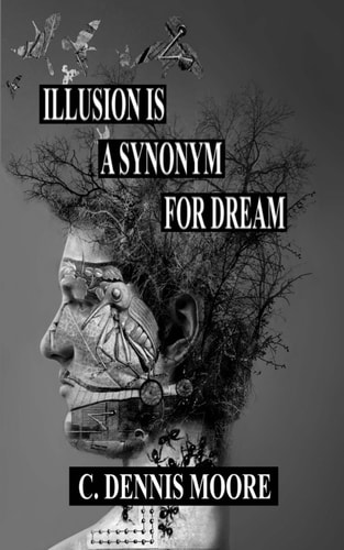 Illusion Is a Synonym for Dream