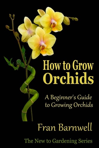 How to Grow Orchids A Beginner's Guide to Growing Orchids
