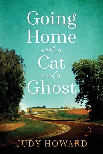 Going Home With A Cat And A Ghost