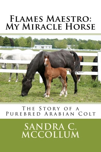 Flames Maestro: My Miracle Horse The Story of a Purebred Arabian Colt