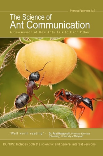 The Science of Ant Communication A Discussion of How Ants Talk to Each Other