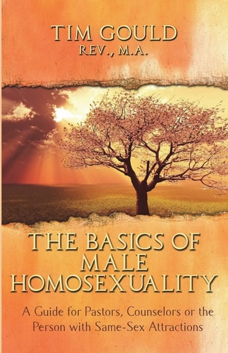 The Basics of Male Homosexuality (a Guide for Pastors, Counselors Or the Person with Same-Sex Attractions)