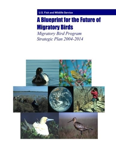A Blueprint for the Future of Migratory Birds Migratory Bird Program Strategic Plan 2004-2014