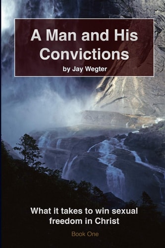 A Man and His Convictions What It Takes to Win Sexual Freedom in Christ