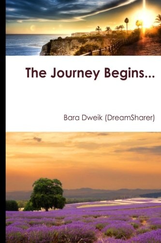 The Journey Begins...