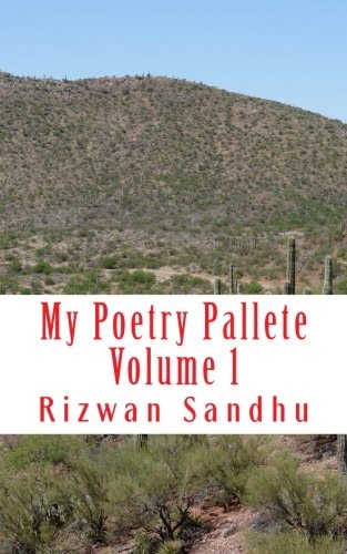 My Poetry Pallete Volume 1 My Reflections