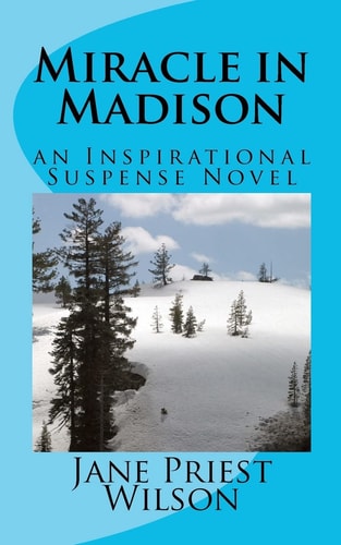 Miracle in Madison An Inspirational Suspense Novel
