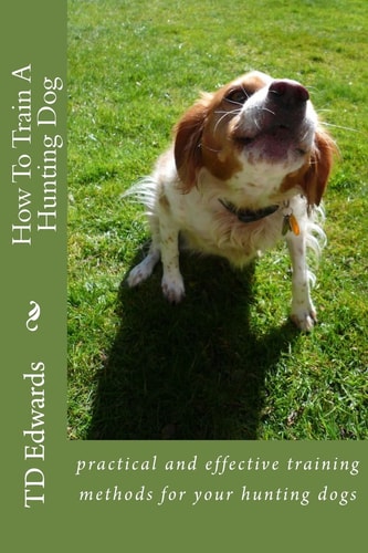 How to Train a Hunting Dog