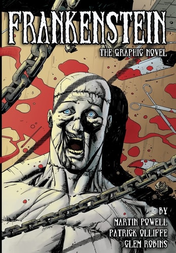 Frankenstein The Graphic Novel