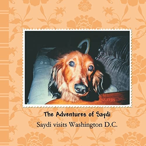Saydi Visits Washington D. C.