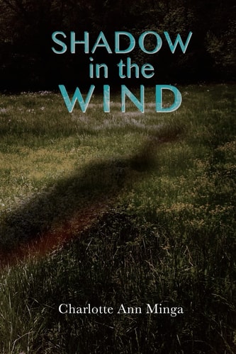 Shadow in the Wind