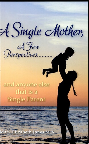 A Single Mother, a Few Perspectives... ... and Anyone Else That Is a Single Parent
