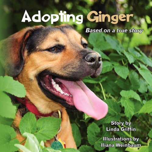 Adopting Ginger
