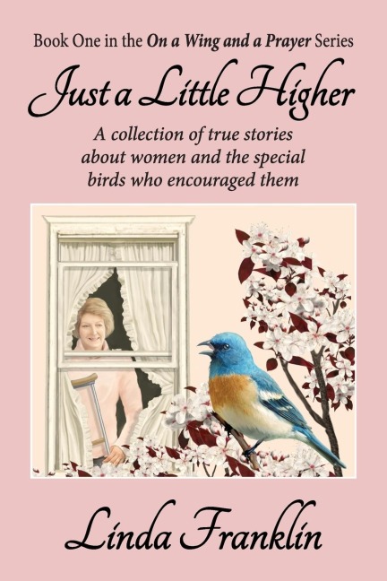 Just a Little Higher: On a Wing and a Prayer Series - Book 1