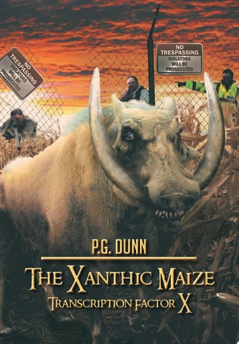 The Xanthic Maize Transcription Factor X