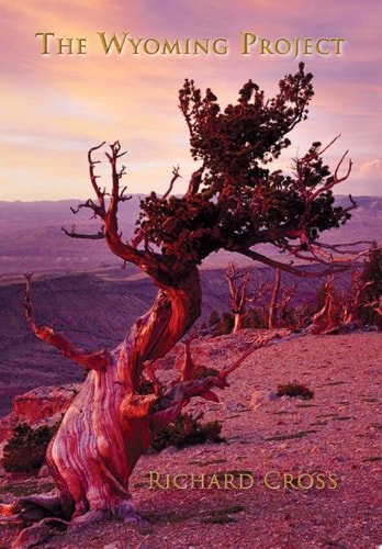 The Wyoming Project
