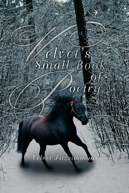 Velvets Small Book of Poetry