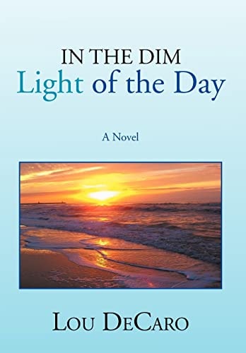In the Dim Light of the Day A Novel