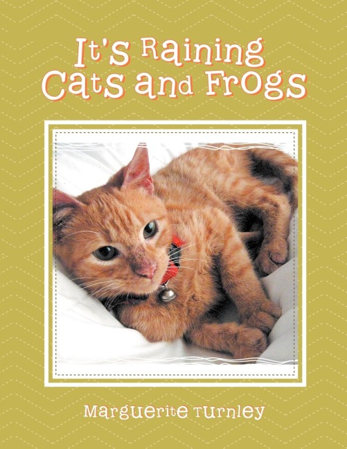 Its Raining Cats and Frogs