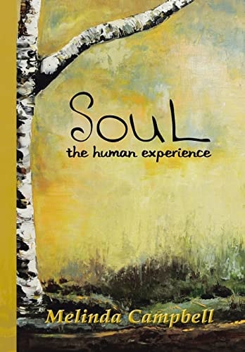 Soul The Human Experience