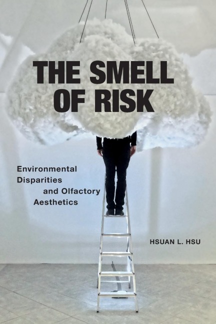The Smell of Risk: Environmental Disparities and Olfactory Aesthetics