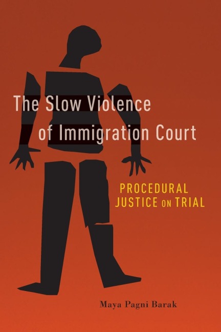 The Slow Violence of Immigration Court: Procedural Justice on Trial