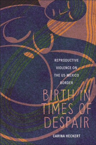 Birth in Times of Despair Reproductive Violence on the US-Mexico Border