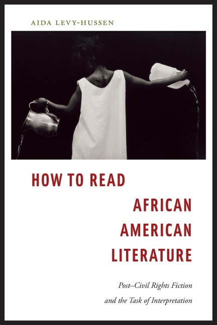 How to Read African American Literature: Post-Civil Rights Fiction and the Task of Interpretation