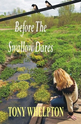 Before The Swallow Dares