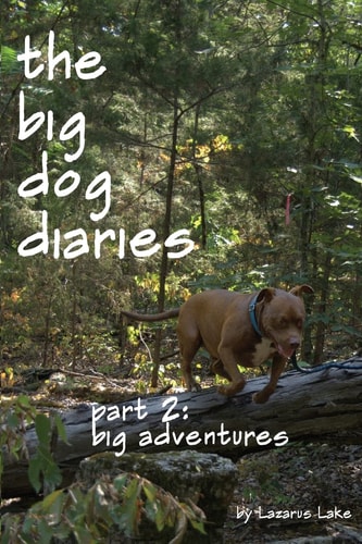 Big Adventures The Big Dog Diaries