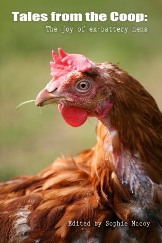Tales from the Coop The Joy of Ex-battery Hens