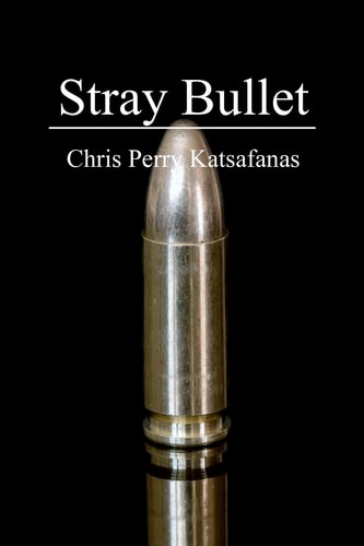 Stray Bullet