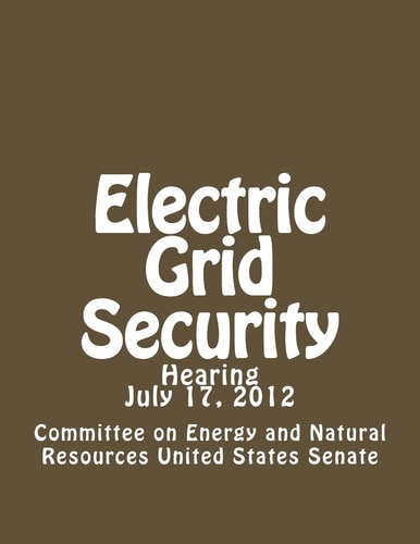 Electric Grid Security