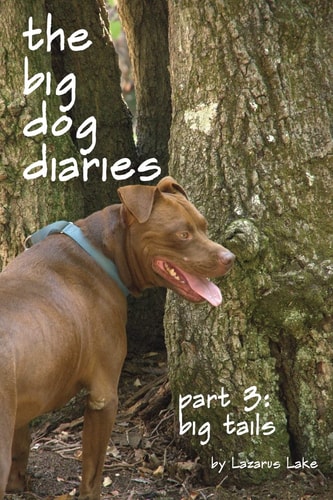 Big Tails The Big Dog Diaries Part 3