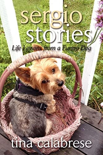 Sergio Stories Life Lessons From A Funny Dog