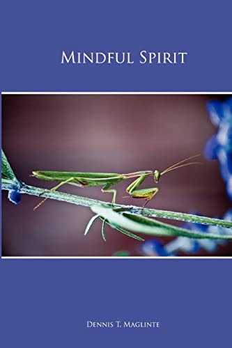 Mindful Spirit