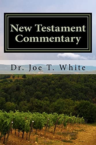 New Testament Commentary Mark and Luke