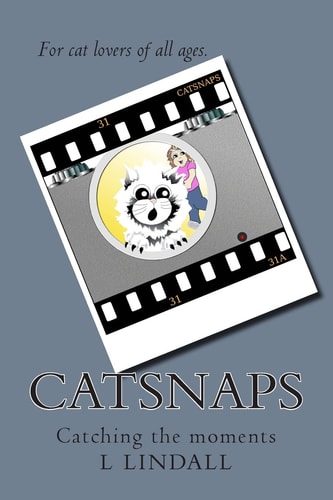 Catsnaps