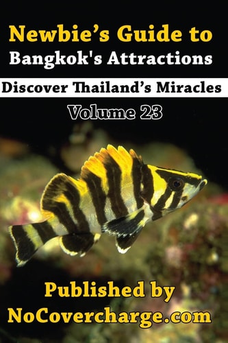 Newbie's Guide to Bangkok's Attractions Discover Thailand's Miracles Volume 23