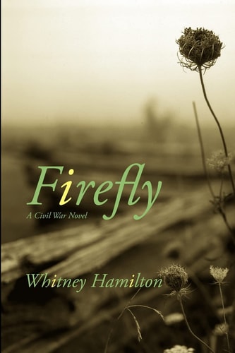 Firefly A Civil War Story
