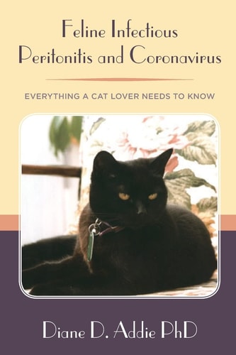 Feline Infectious Peritonitis and Coronavirus Everything a Cat Lover Needs to Know